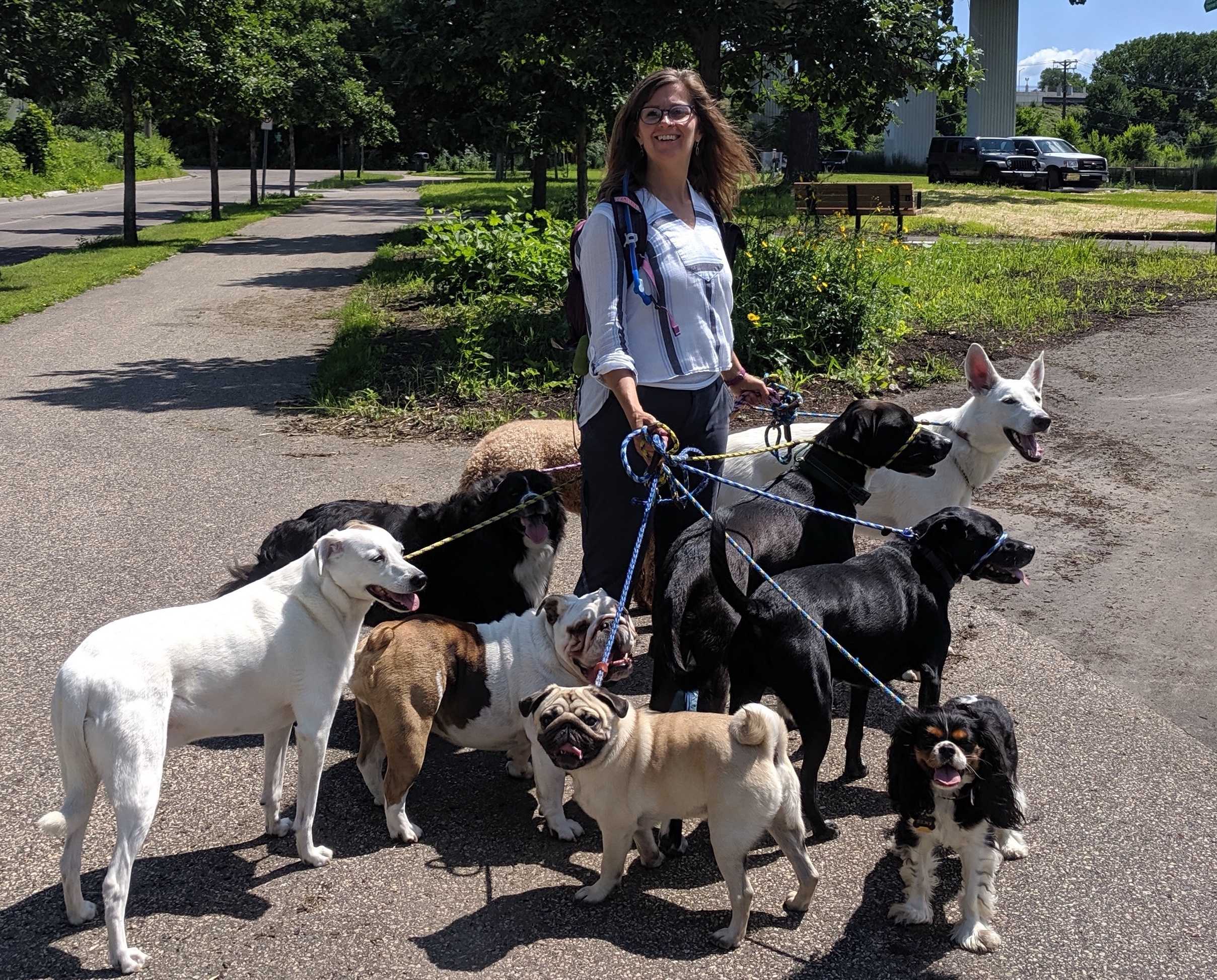 Erin and the pack in action